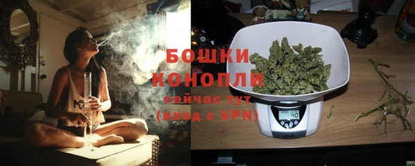 шишки Кодинск