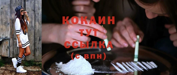 шишки Кодинск