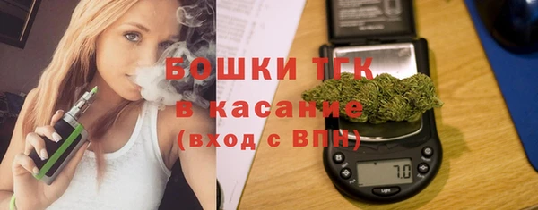 шишки Кодинск