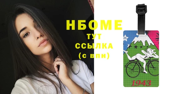 шишки Кодинск