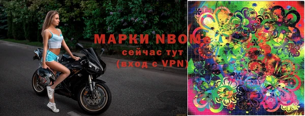 шишки Кодинск