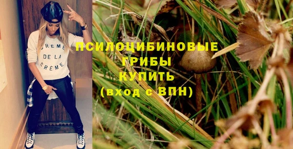 гидропоника Козловка
