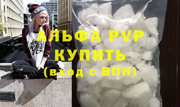 шишки Кодинск