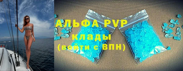 шишки Кодинск