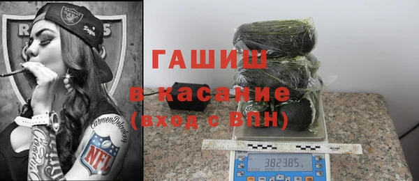 шишки Кодинск